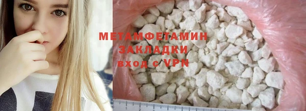 прущие грибы Кинешма