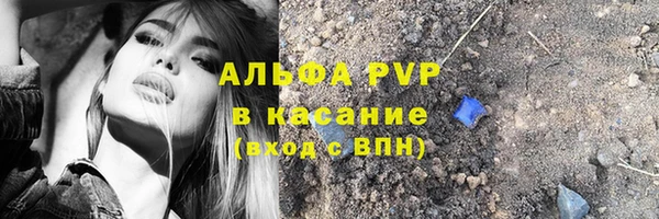 прущие грибы Кинешма
