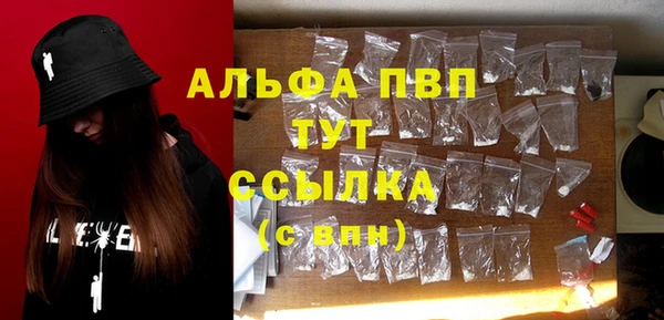 прущие грибы Кинешма
