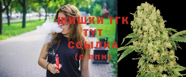 прущие грибы Кинешма