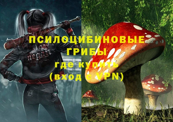 прущие грибы Кинешма