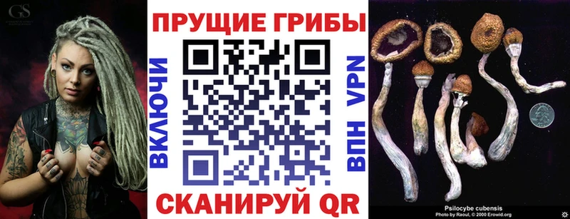 Галлюциногенные грибы Psilocybe  Купить  Мирный 