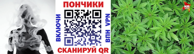 Купить  Мирный  Конопля индика 